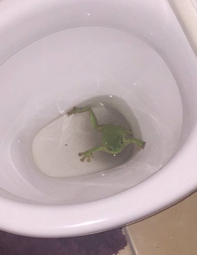 "Hi do you have a moment to talk about our lord and savior dat boi"