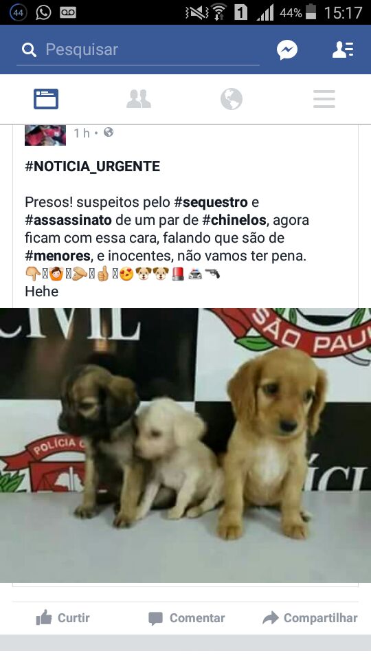 leticia #Timbeta# (@timbeta5timbeta) on Twitter photo 