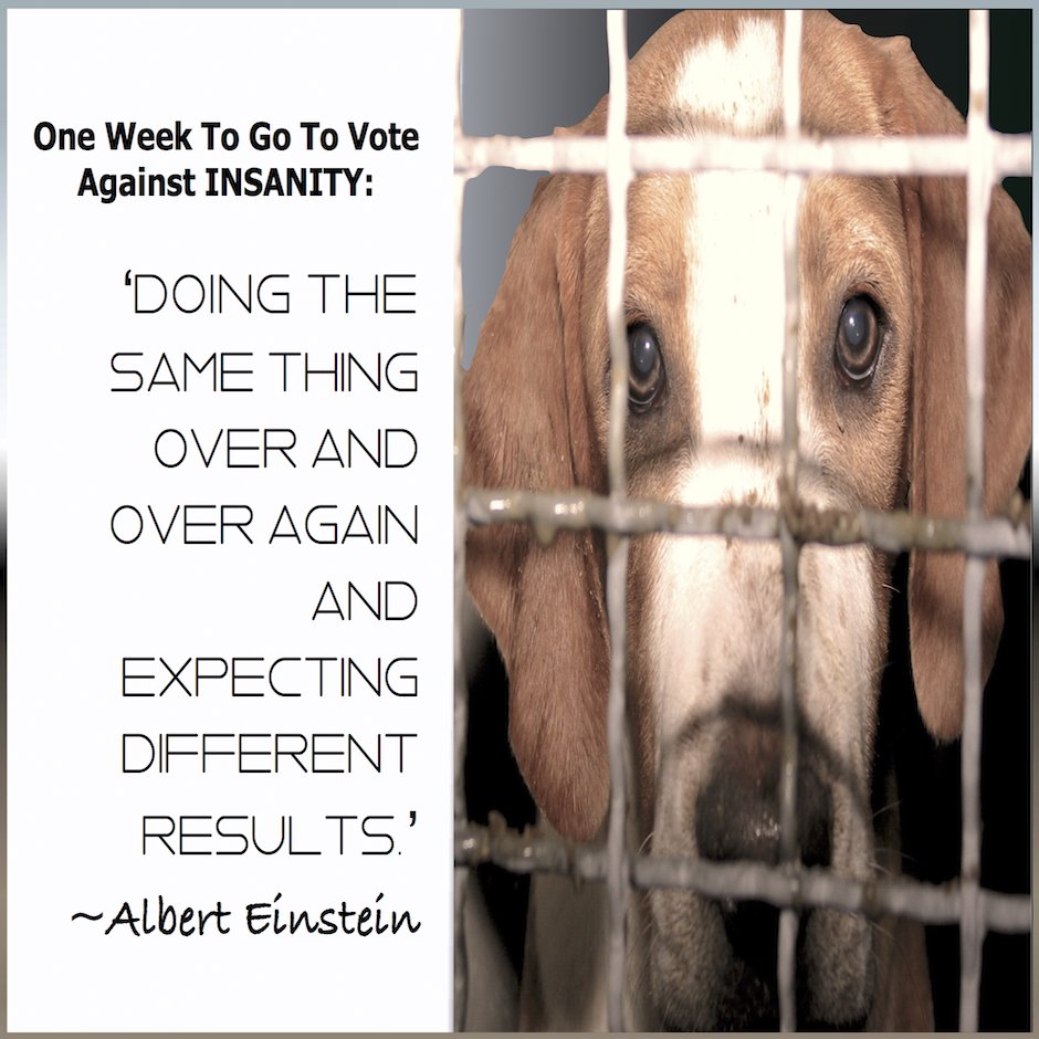 Last week to vote #animal testing off this planet! Pls RT #VoteLikeCrazy: bit.ly/21ldkxr @rickygervais #DOG