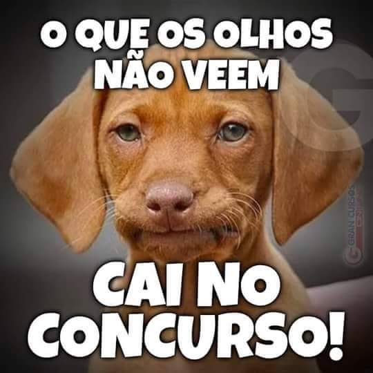 RT e segue / SDV (@clesya_santana) on Twitter photo 