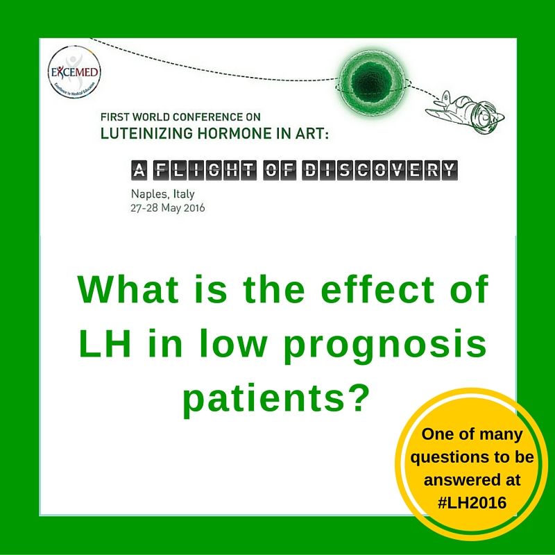EXCEMED_Repro's tweet photo. Questions? We've got answers. Top #CME coming soon to Naples, Italy. #luteinizing #fertility #LH2016 https://t.co/SrkR3LoSdW