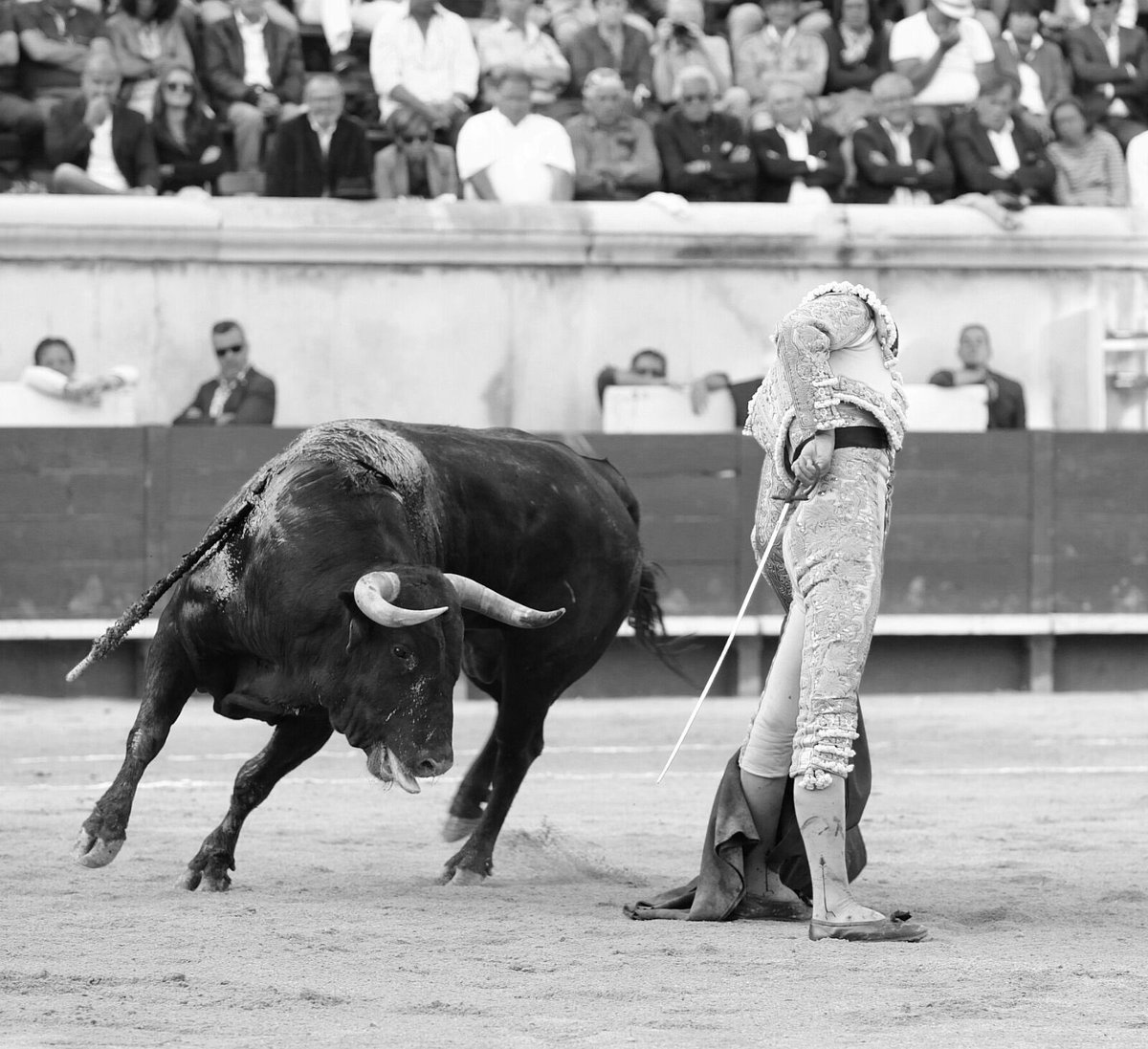 Todo el toreo y la bravura girando alrededor del pilar único del valor más auténtico de #Perera