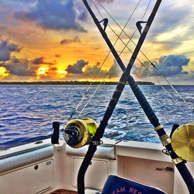 SeaLifeProject's tweet photo. Lady Elliot Island. #ladyelliotisland #heavytackle #rivieraboats #toplessgamefishingcharte… https://t.co/rsFu40UVY3 https://t.co/jLiKbqnUDQ