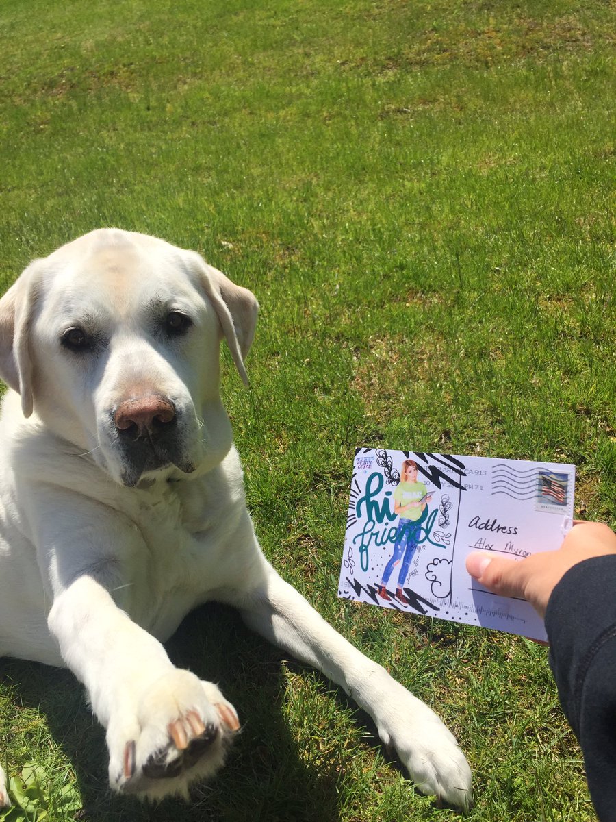 sleazychic's tweet image. my dog is V excited for #WritingWithGrace