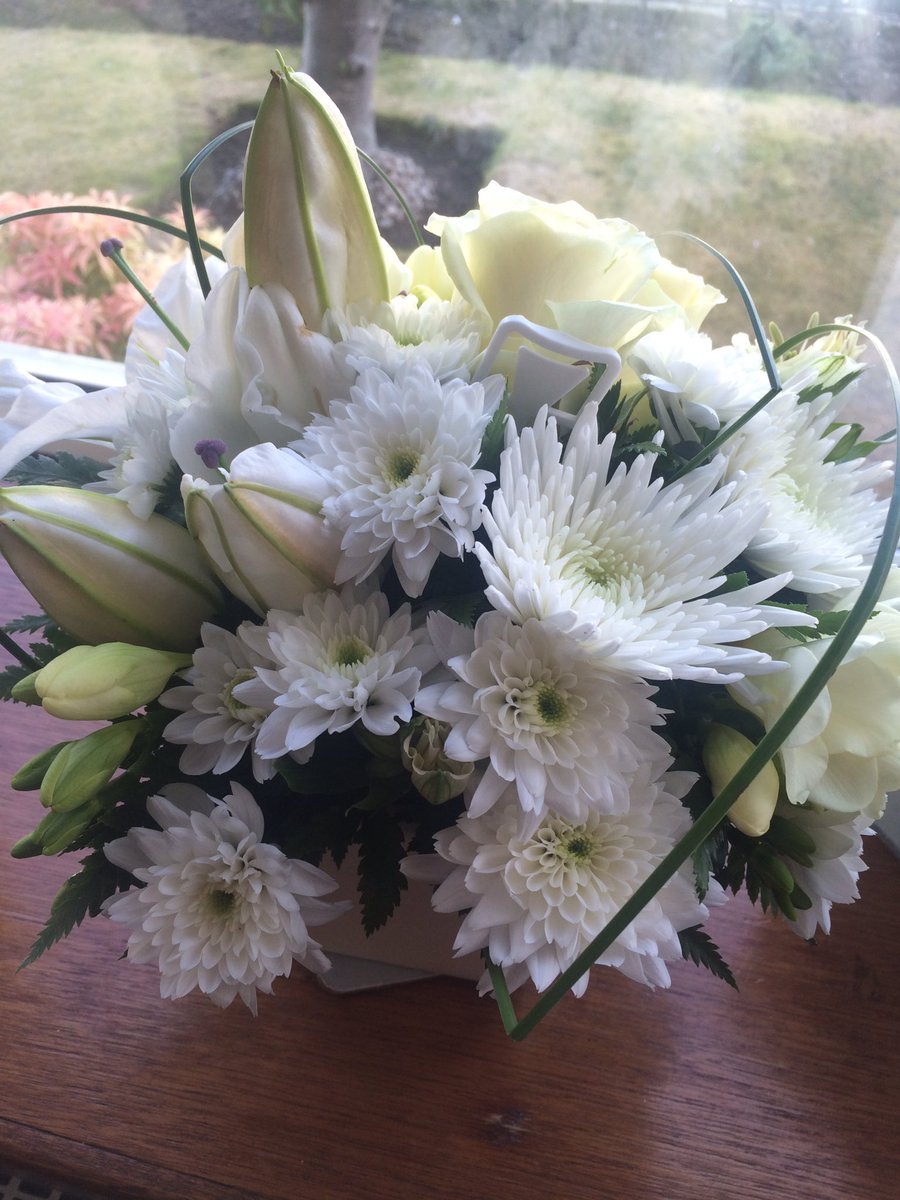 Hearach1's tweet photo. What a gorgeous welcome present @sarahmorton1231 https://t.co/90D0NWv9tM
