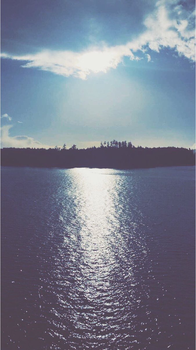 ScoutingBc's tweet photo. 📍 Victoria, BC https://t.co/YLsWrvnieg