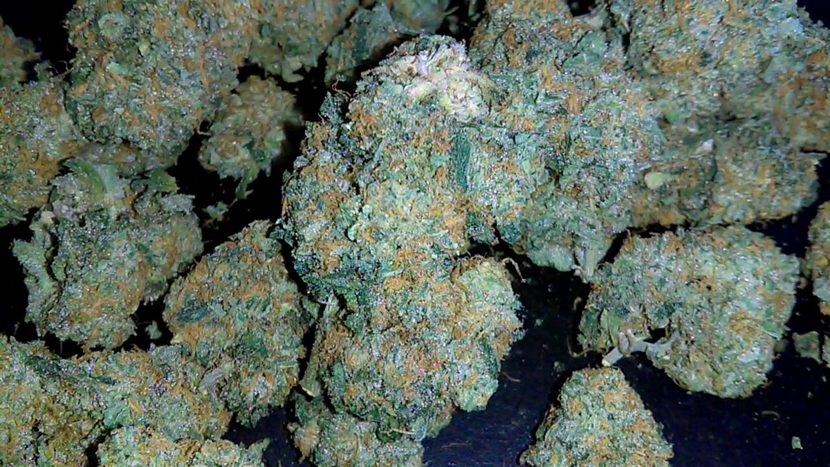 Girl Scout Cookies 🍁👌