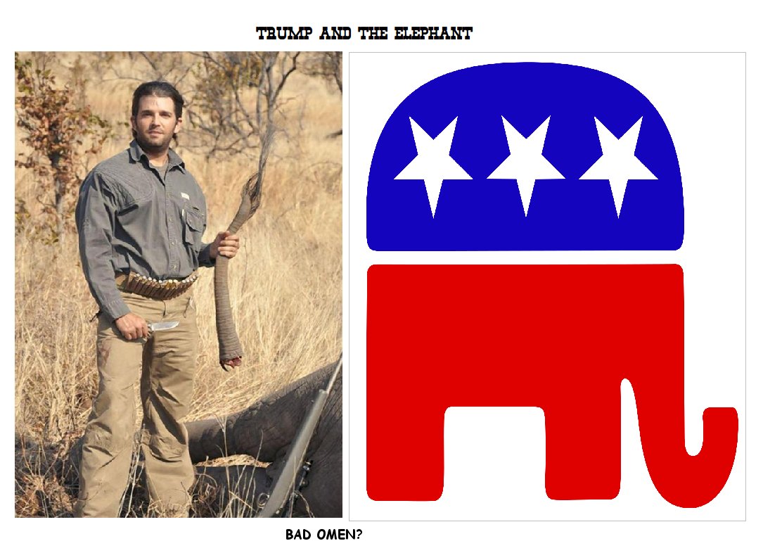 my______home's tweet image. #draftmitt
BAD OMEN!