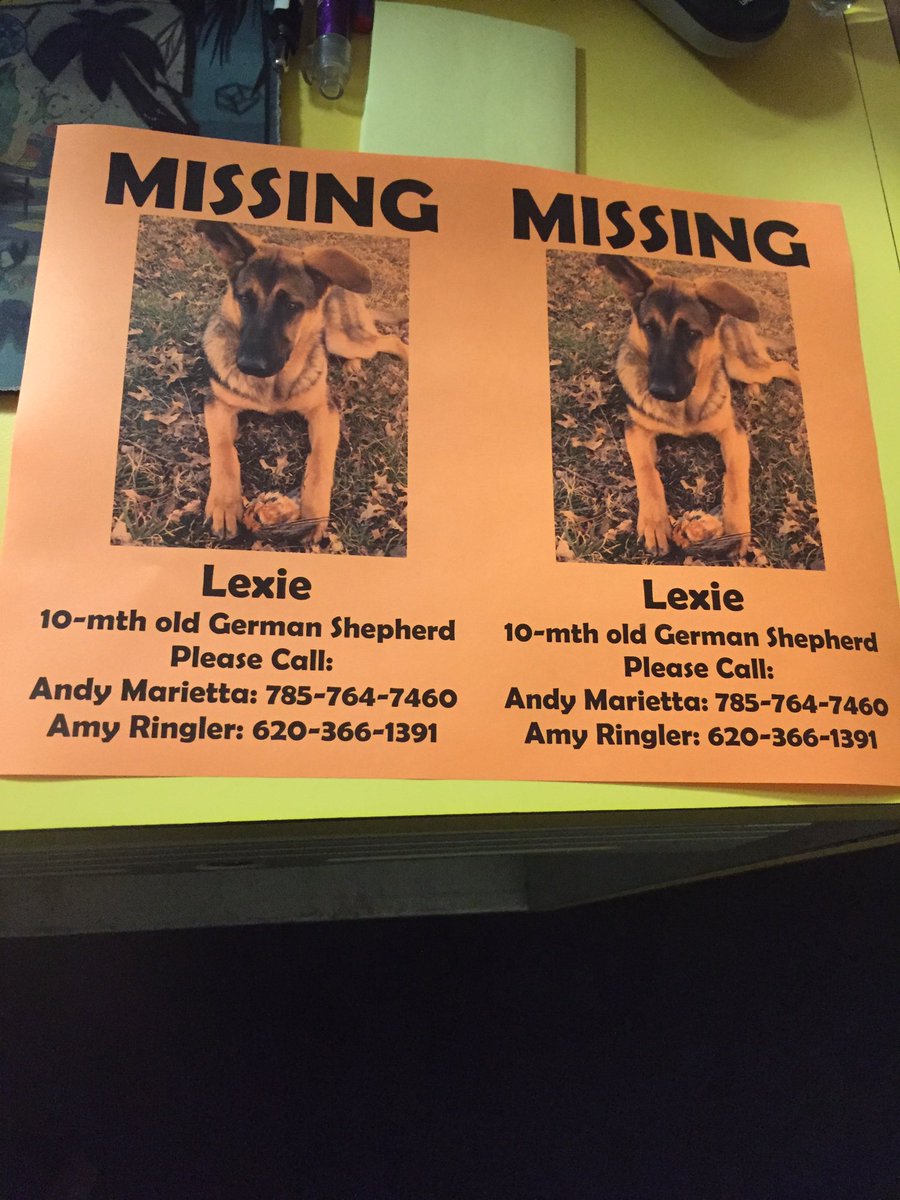 amyb_714's tweet photo. Lexie went missing Sat morn near Neosho Rapids, wearing pink collar, current on shots.*RETWEET PLEASE*@AndyMarietta https://t.co/CVuTbEDz3k