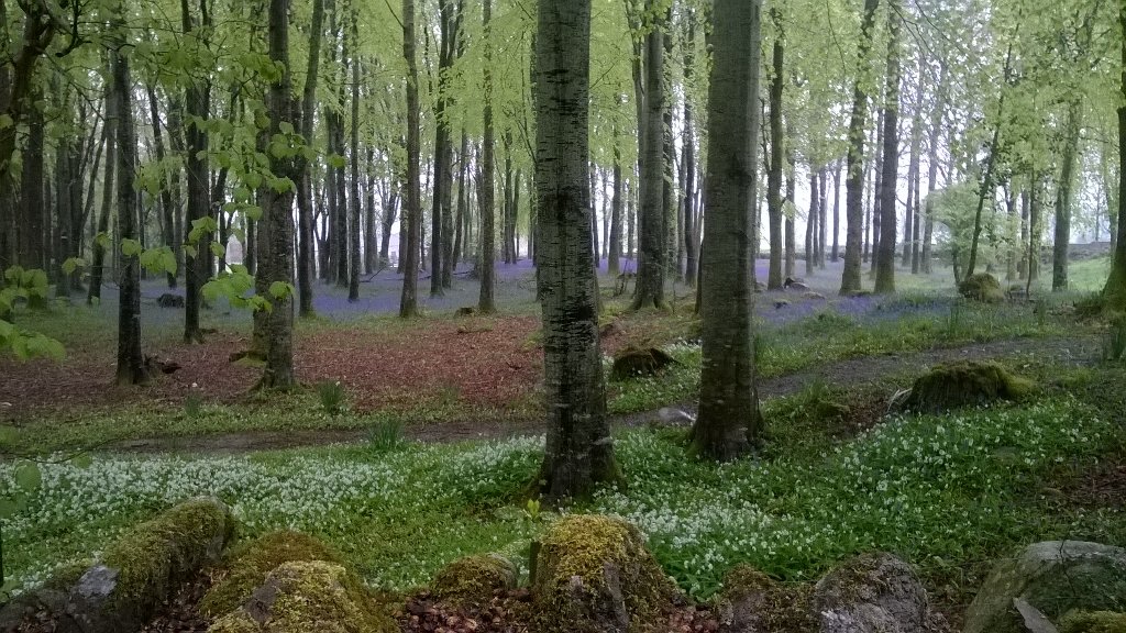 FiT FiX, Tickincor woods, Tuesdays and Thursdays 7:30-8:30. Keeping mind and body relaxed with exercises and nature.