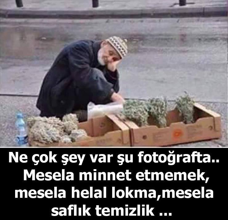 Her gün 1 Yeni Bilgi (@hergunyenibilg) on Twitter photo 