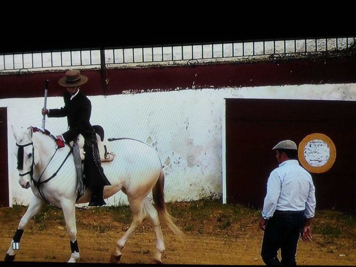 Que buenos son esos pequeños consejos de tu maestro antes de empezar la faena