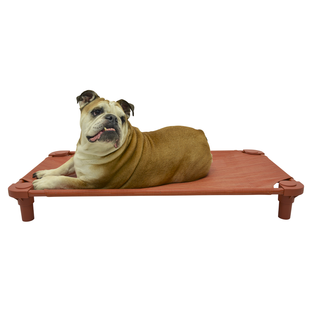 4Legs4Pets's tweet photo. #ModernDogMagazine #FaveFind #dogbed #petcot #place #dogtraining #dogcot #dogobedience #kennel #petsupply #petresort https://t.co/VWg9hzmIit