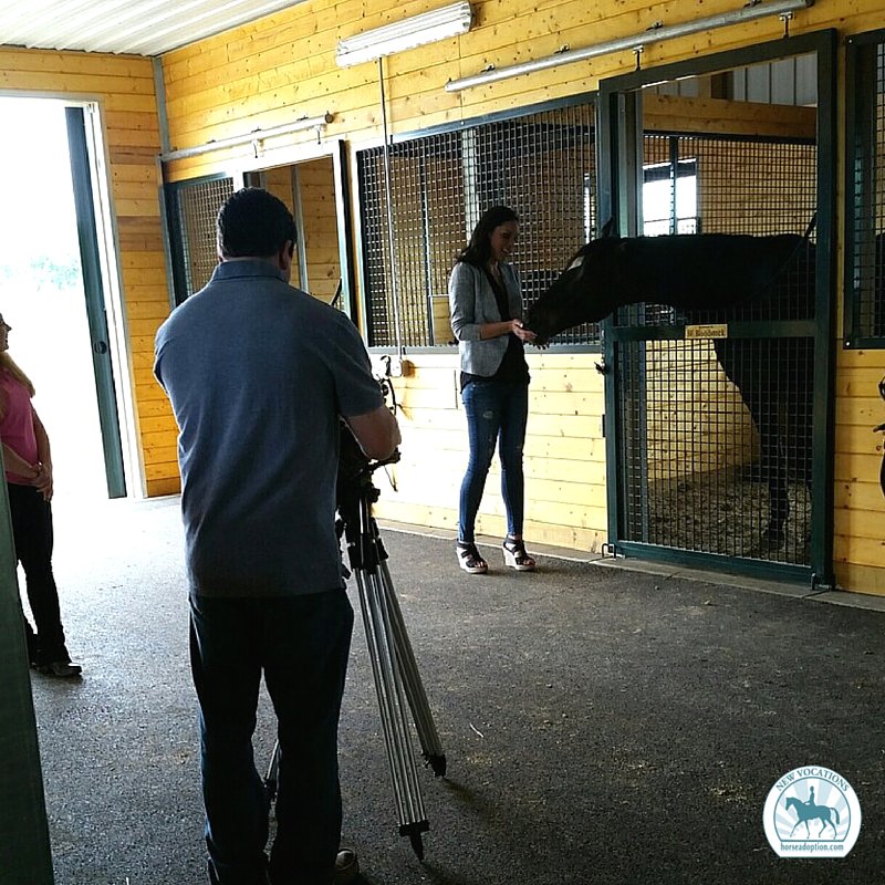 NewVocations's tweet photo. Log onto https://t.co/8pqwG3a2EV for the episode of #TopsTv featuring New Vocations @ Mereworth Farm! #sharethelex https://t.co/Gb48yFUduk