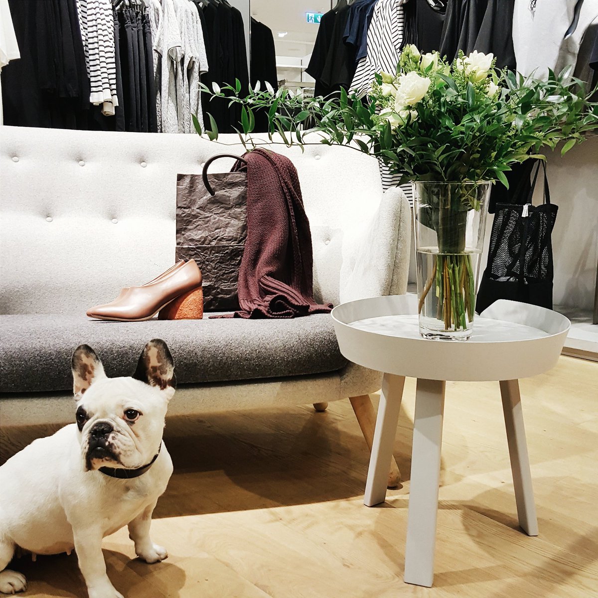 50pairsofshoes's tweet photo. Az uj #COSAW16 eleg jonak igerkezik! :) @cosstores https://t.co/bVHmtwrZLJ