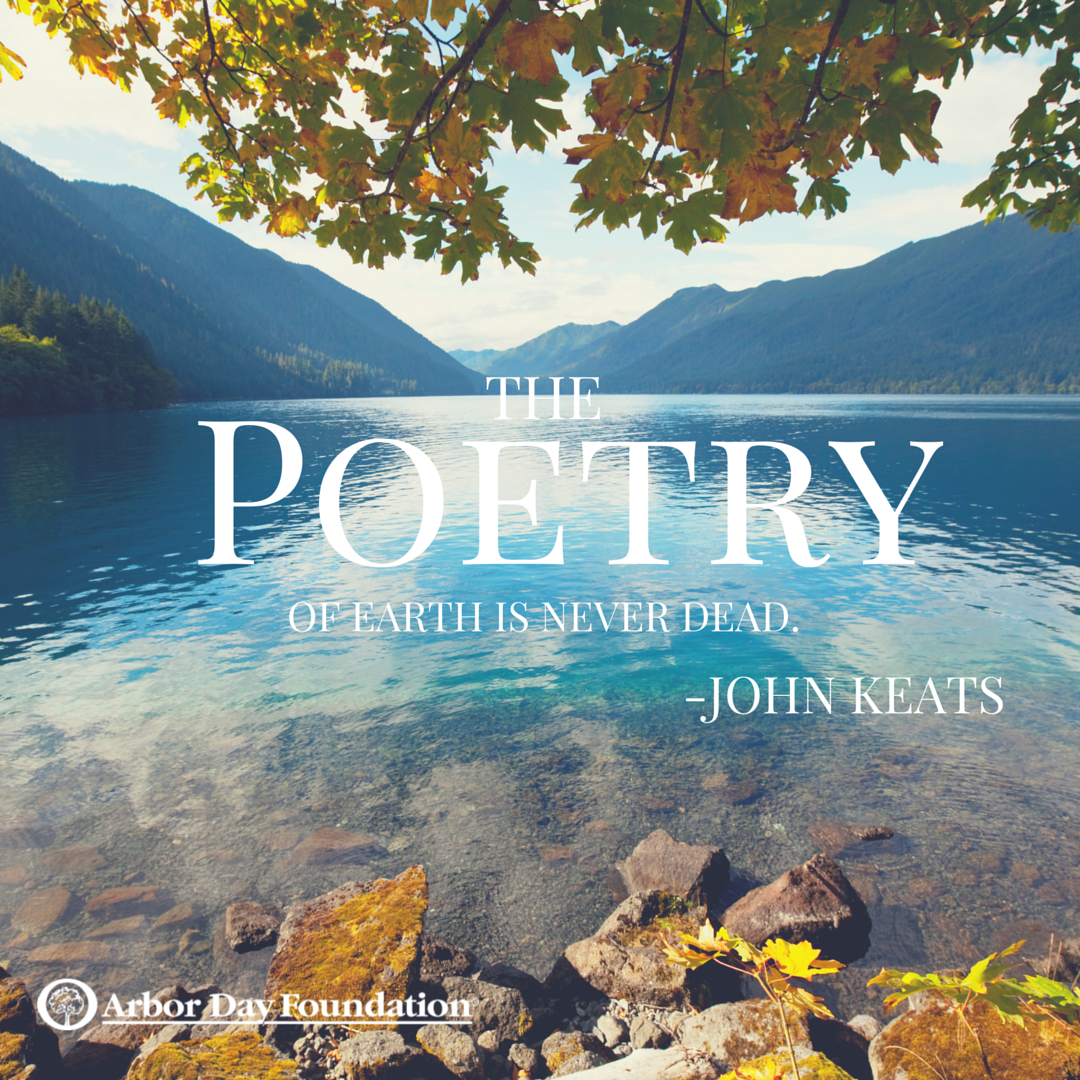arborday's tweet photo. #mondaymotivation 'The poetry of earth is never dead.' -John Keats https://t.co/rKrsY9vP8A