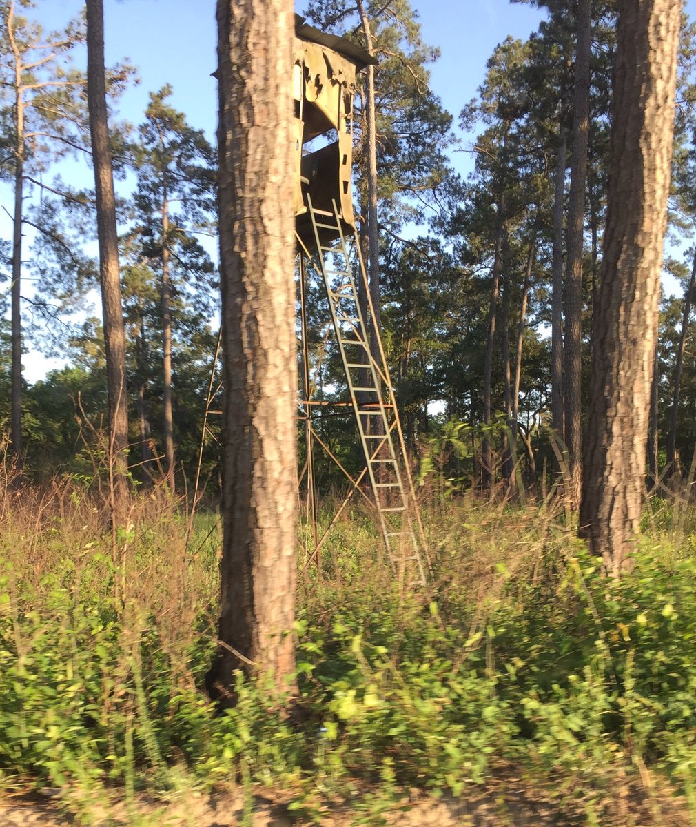 Retweet if you'd rather be here in the deer stand than at work on this Monday! #SticksLife #DeerHunting