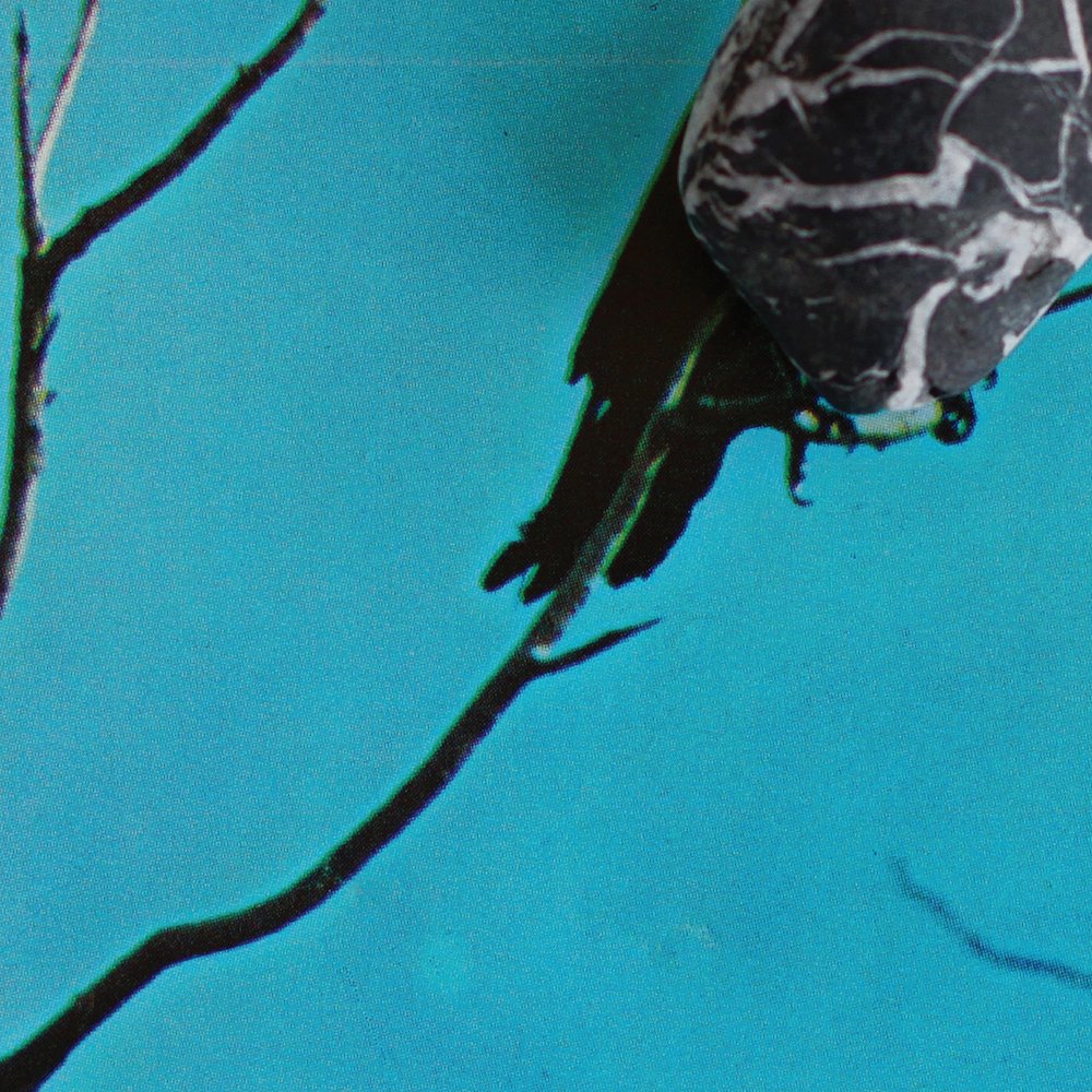 180fact's tweet photo. For fans of Tortoise or Floating Points, Tangents’ wondrous 'Jindabyne' is a must-listen: https://t.co/wzMoxg9hWL https://t.co/ttB4PIdC0w