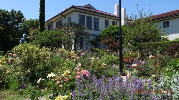 横浜環境情報 バラ情報 港の見える丘公園 5 13現在 イギリス館 山手111番館の後庭が見頃 今春リニューアルしたばかりのローズガーデンは バラ苗育成のため花摘みを行っています しばらくは花がない状況が続きますので ご了承ください 横浜環境情報 バラ情報 港の見える丘公園 5 13現在 イギリス館 山手111番館の後庭が見頃 今春リニューアルしたばかりのローズガーデンは バラ苗育成のため花摘みを行っています しばらくは花がない状況が続きますので ご了承ください
