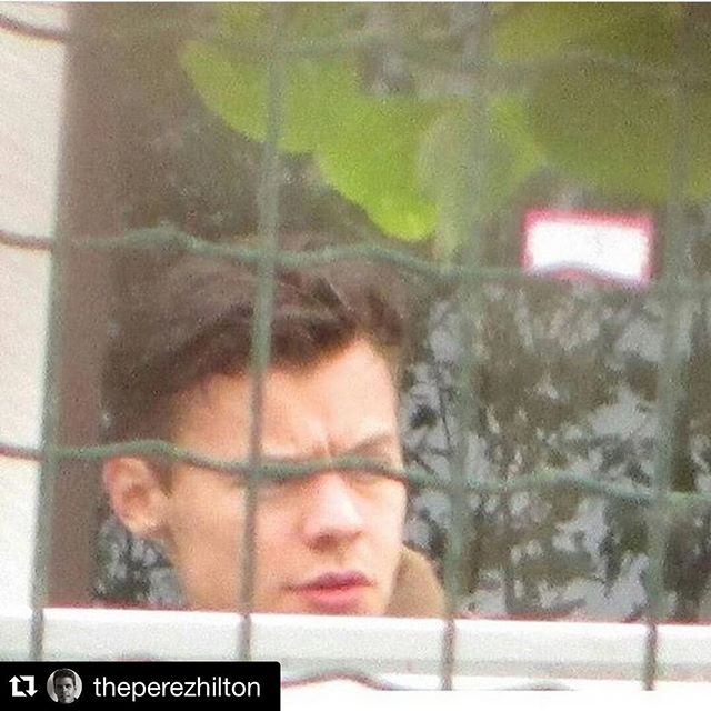 Perez On Twitter Your First Real Look At Harry Styles