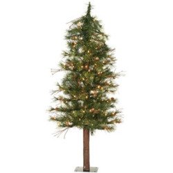 anlehives1981's tweet image. 23% Off #Vickerman Mixed Country 6-Foot Alpine w/200 Clear Mini Lights and 442 Tipshttp://les-chercheurs.org/shop.p…