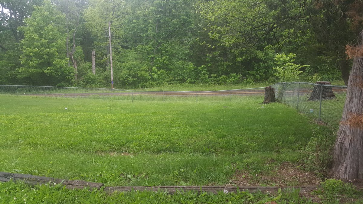 Caitrdid's tweet image. So excited for our backyard!
