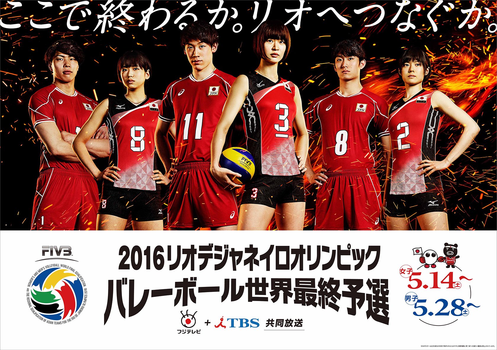2016 リオオリンピック バレーボール日本代表 記念皿 2016 リオオリンピック バレーボール日本代表 記念皿 バレーボール