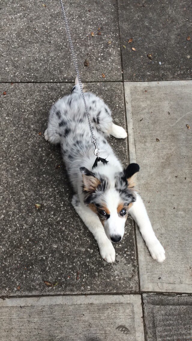 Christina Rose tweet media