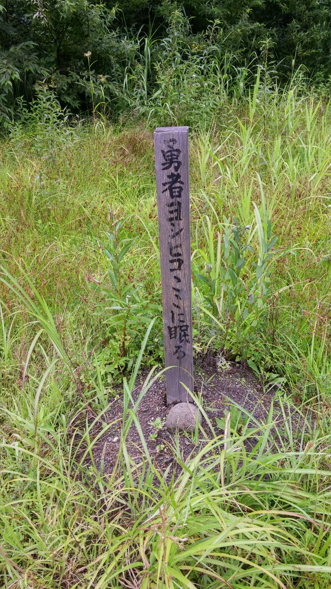O Xrhsths 奈々氏 Sto Twitter やっぱ山形なんだ W勇者ヨシヒコのロケ地は山形 県鶴岡の映画村だよ だだっ広くて村内でバスも走ってるよ ヨシヒコは低予算なので映画村で一気撮りするんだって書いてあったよ 最近人が少ないから聖地巡礼に行っておいで O Xrhsths 奈々氏 Sto Twitter やっぱ山形なんだ W勇者ヨシヒコのロケ地は山形 県鶴岡の映画村だよ だだっ広くて村内でバスも走ってるよ ヨシヒコは低予算なので映画村で一気撮りするんだって書いてあったよ 最近人が少ないから聖地巡礼に行っておいで