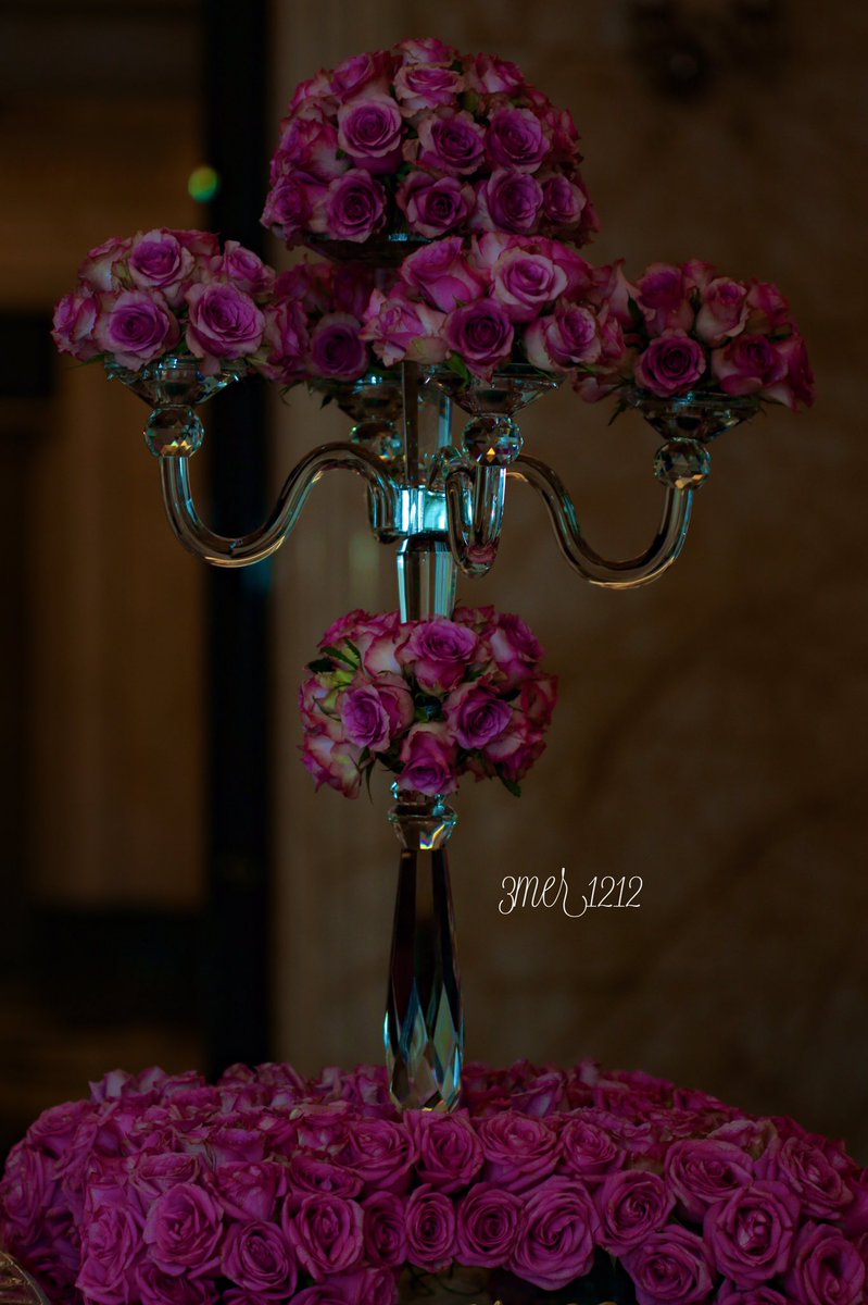 3merSaeed's tweet photo. كل ما هو جميل يذبل مع الأيام ويختفي #تصبحون_على_خير #غرد_بصورة #تصويري #السعودية #رتويت https://t.co/f9QeLPATHA