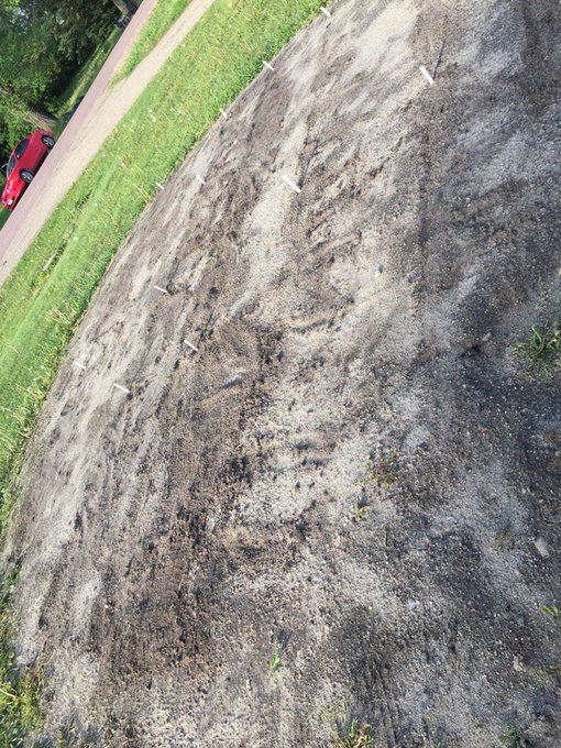 I planted small garden today..... https://t.co/hm32Zmuz5l