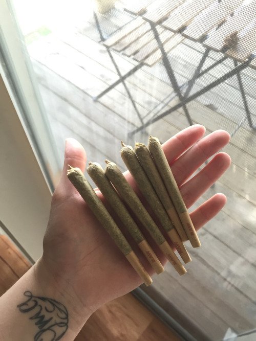 tedsmarijuana's tweet photo. ✨💨🎀 https://t.co/dUk7Xhm6Fe
