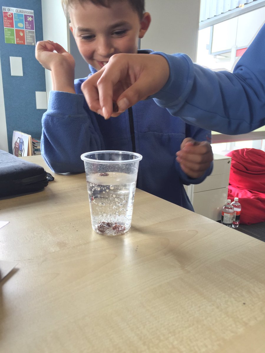 stuarta_86's tweet photo. Science week in action: the dancing raisins experiment! @StonefieldsSch #engaged #literacy #science #recount https://t.co/a31iBsFYp1