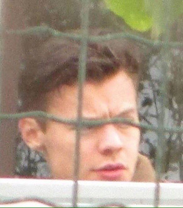1DGroupies__'s tweet photo. I haven't tweeted in a long ass time but...HARRY'S HAIR DIDNDDHDNDNDNEHJJI https://t.co/4BrRGLjy6e