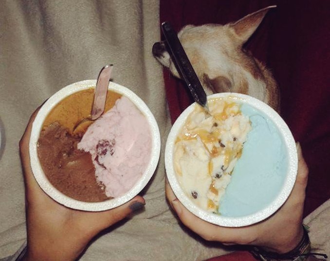Estefii21's tweet photo. Cuando estas enferma y te miman 💟💟 Las amo https://t.co/Fqkwz5pthT