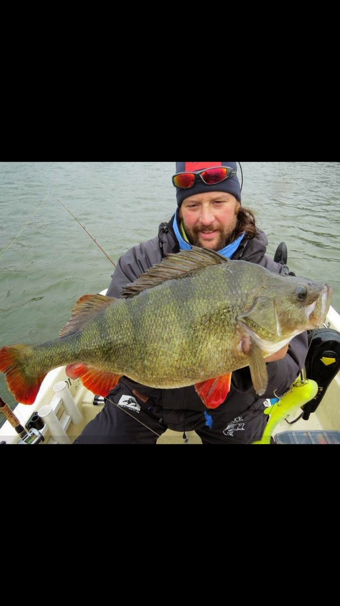 sometimesIyolo's tweet photo. Happy bday @alex_blackwell1 #GodFish #TrophieCase https://t.co/IxFToq3mQ4