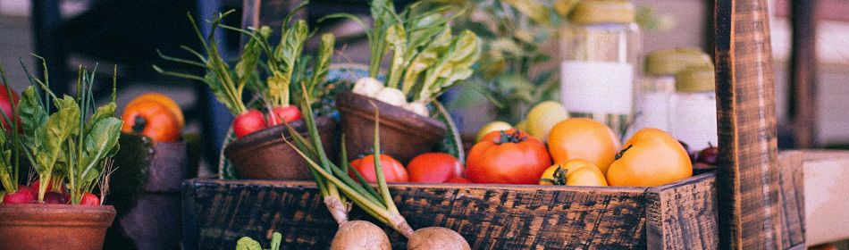 Wizeapple's tweet image. Learn more about how diet affects your metabolism. #Diet
bit.ly/1Xw9mlm