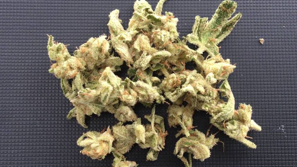 cannabisaust's tweet photo. Strain Review: #GorilliaGlue #12 #Marijuana #Strain #Cannabis https://t.co/ckIKBeTA84 https://t.co/0j1mQzNqiN