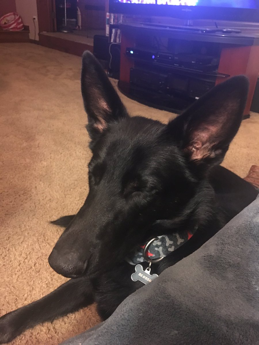 sd_benson's tweet photo. A busy day of work and play....I'm pooped. Can't even keep my eyes open 😴 https://t.co/ipCk6wnVjy