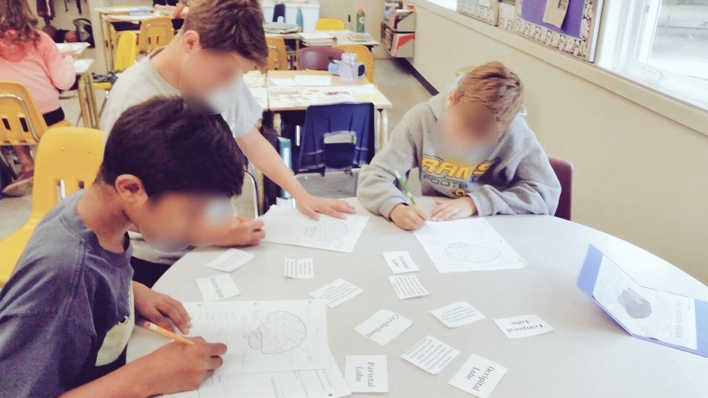 EBgrade6_7's tweet photo. Learning all about the Nervous System for our #unitofinquiry through station work #ibpyp #inquiry #ebdiv2 https://t.co/Un37upMVw3