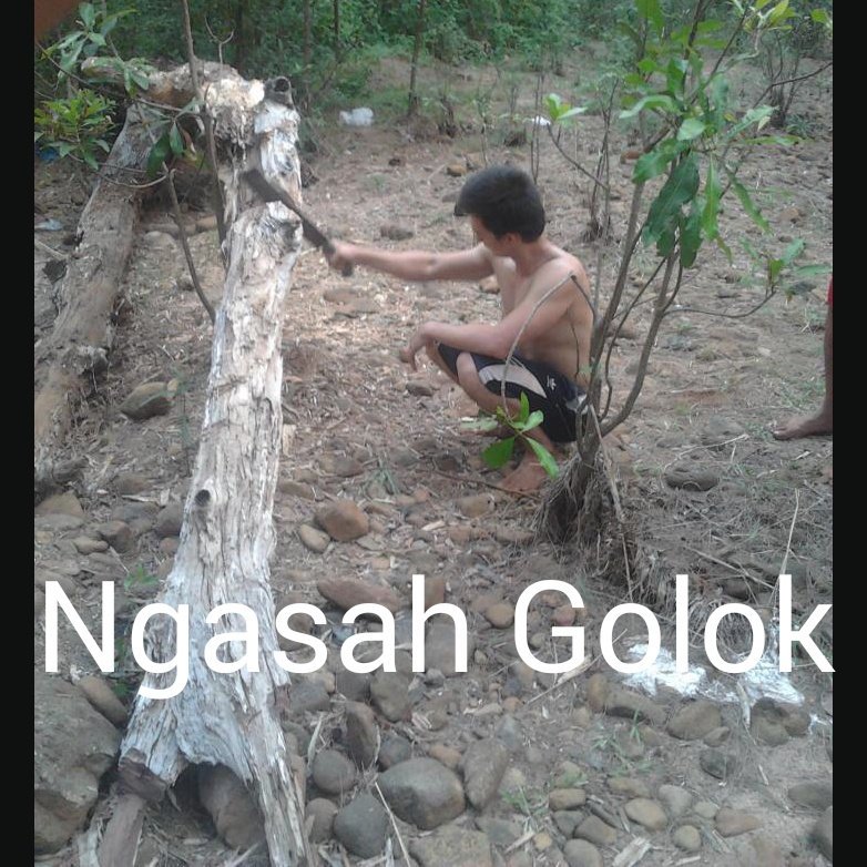 mueved's tweet photo. Ngasah golok di pagi hari https://t.co/6sHQVtFkkL