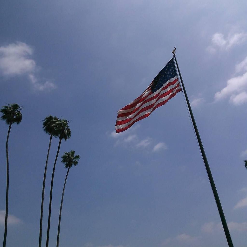 flagstiffy's tweet photo. #Repost @jarronmiller
・・・
#Cali #california #palm #palmtrees #americanflag https://t.co/0Huh4eE3xK https://t.co/t1FDKjYKEh