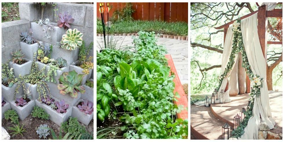 10 gardening trends that will be big in 2016, according to <a href="/Pinterest/">Pinterest</a>: townand.co/6016BU6I8