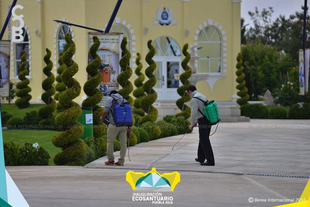 LldmTijuanaBV's tweet photo. Preparativos previos a Inauguración de Amozoc, Puebla (Ecosantuario).

#BereaInternacional
#LLDM https://t.co/UV480Ye2iZ