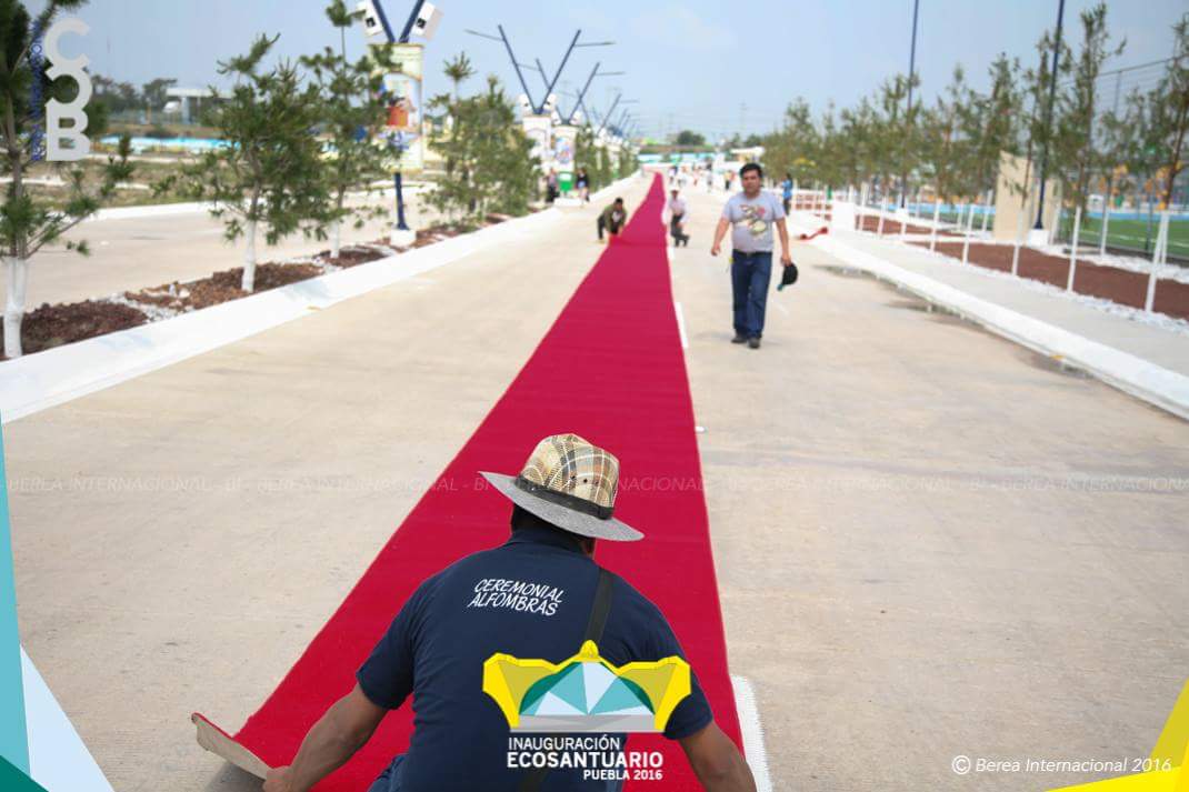 LldmTijuanaBV's tweet photo. Preparativos previos a Inauguración de Amozoc, Puebla (Ecosantuario).

#BereaInternacional
#LLDM https://t.co/UV480Ye2iZ