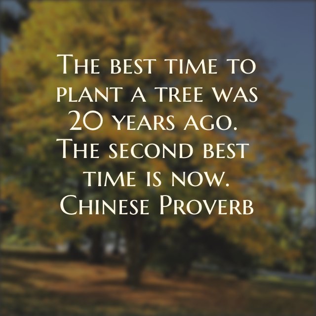 Linda Freeman on Twitter: ""The best time to plant a tree..." ~Chinese Proverb #quote #inspiration #motivation… "