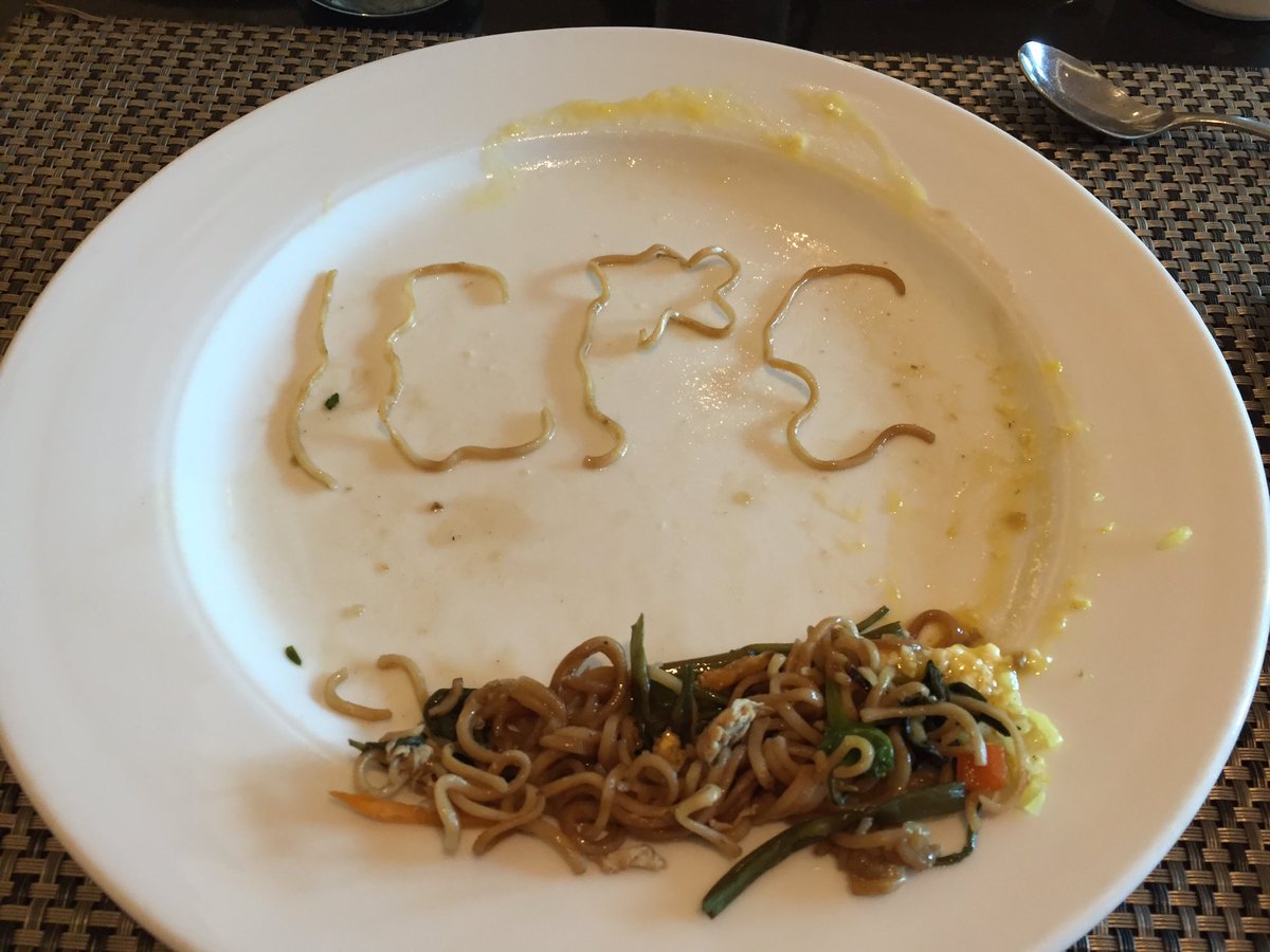 iseriohn42's tweet photo. #QuestNoodles #ICPC2016 #QuestICPCFood noodles! https://t.co/ffCKqlv4fj
