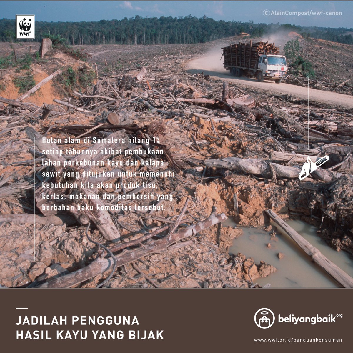 Yayasan WWF Indonesia tweet media