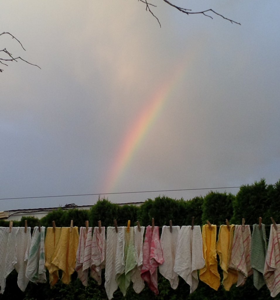 megloops's tweet photo. Pot of Gold at end of #Rainbow ๐
#Laundry using #Clothesline
Good 4 #Environment & Soul
#CombatClimate ๐ #Kamloops๐จ๐ฆ https://t.co/1I16a3wSRB