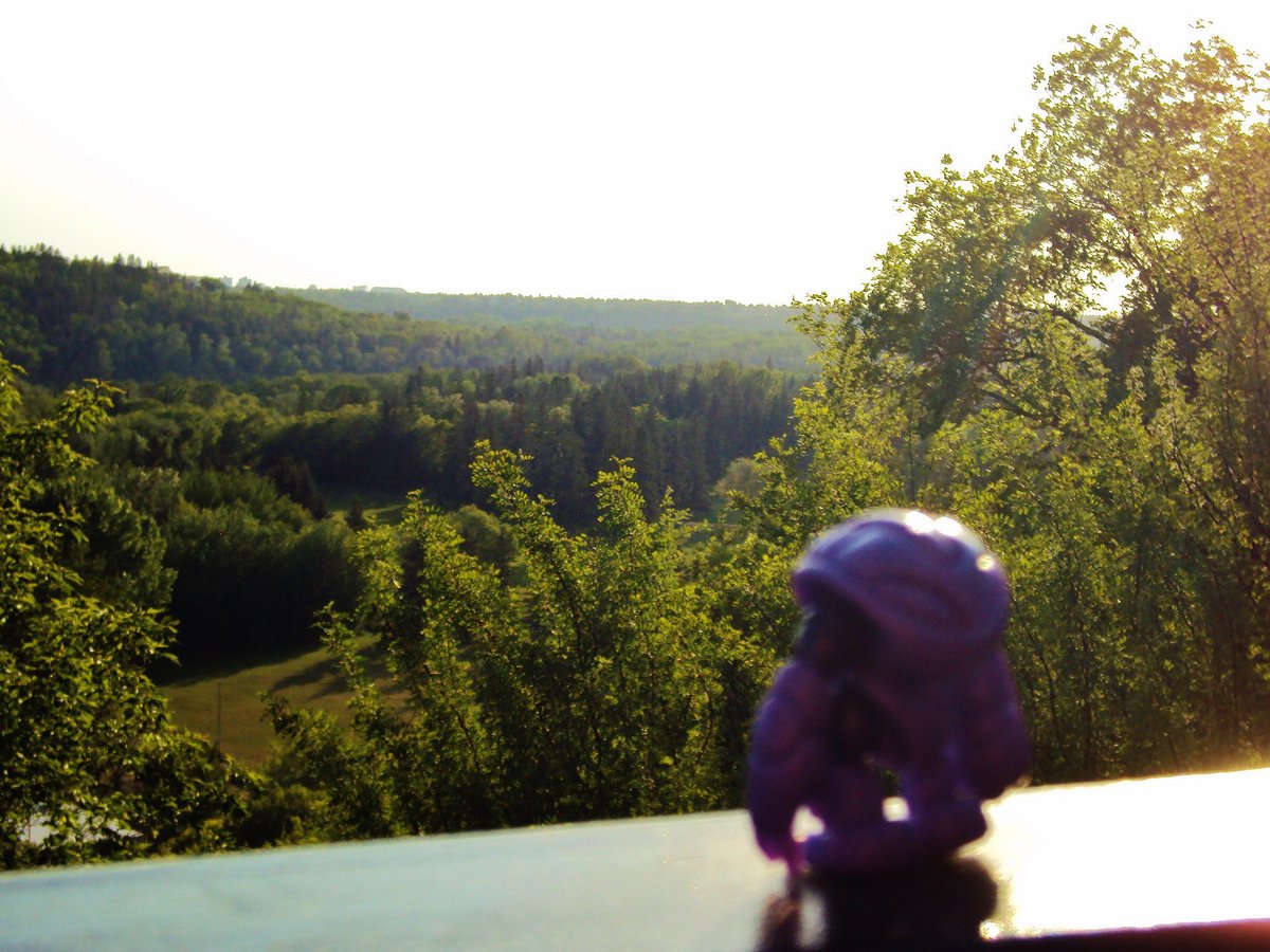 TheLocalBard's tweet photo. A wandering Crayboth Disruptor on a walk in downtown Edmonton, in Canada (buildings are behind me). #glyos #crayboth https://t.co/2Xy3nGwF2B